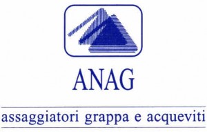 logo_anag